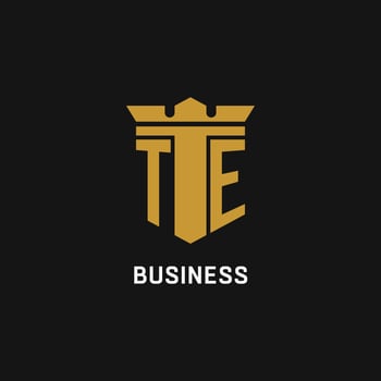 TE initial logo with shield and crown style vector