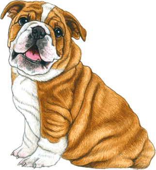 Dog lover watercolor adorable animal png