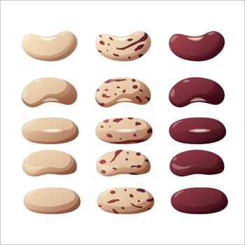 Kidney beans on a white background. Healthy food. Bobs. Vector illustration.