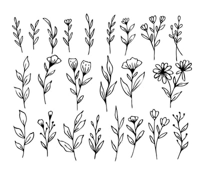 A collection of hand drawn leaves and flower decorative floral element vector
