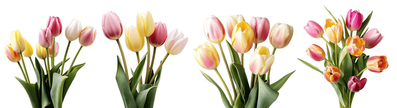 Bunch of tulips flowers on transparent background, Technology png