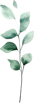beautiful watercolor leaves png