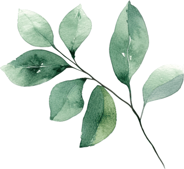 beautiful watercolor leaves png