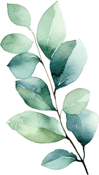 beautiful watercolor leaves png