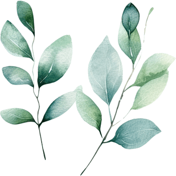 beautiful watercolor leaves png