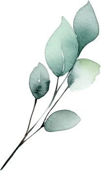 beautiful watercolor leaves png