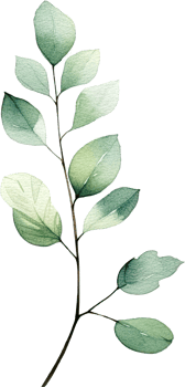 beautiful watercolor leaves png