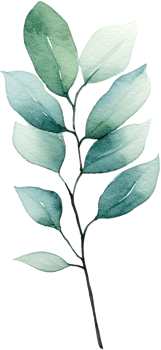 beautiful watercolor leaves png