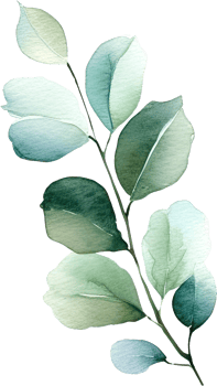 beautiful watercolor leaves png