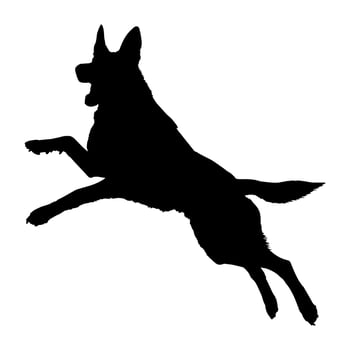 Defense German shepperd dog silhouette isolated on a white background. Vector illustration