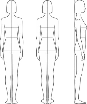 Women's figure. Body proportions for sewing clothing. Bust, waist, hips lines. Female silhouette. Front, back, side views. Vector illustration.