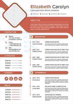 professional curriculum vitae template vector