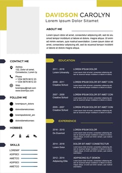 professional curriculum vitae template vector