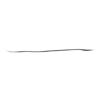 Hand drawn abstract organic shapes background. png