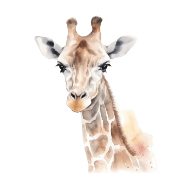 Cute Giraffe Watercolor Clip-art Transparent File - png