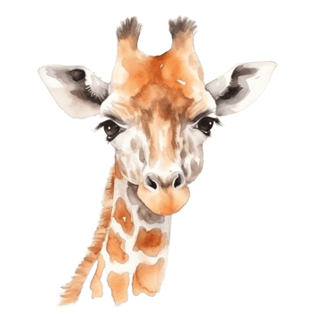 Cute Giraffe Head Watercolor Clipart Transparent Background File - png