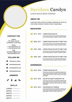 professional curriculum vitae template vector