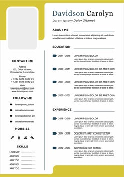 professional curriculum vitae template vector
