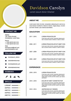 professional curriculum vitae template vector