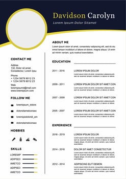 professional curriculum vitae template vector