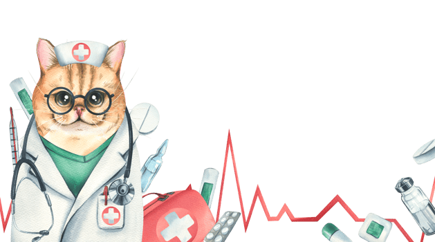 Cat doctor in a dressing gown, glasses, with a stethoscope, a suitcase and medical instruments, pills, injections. Watercolor illustration, hand drawn. Template png