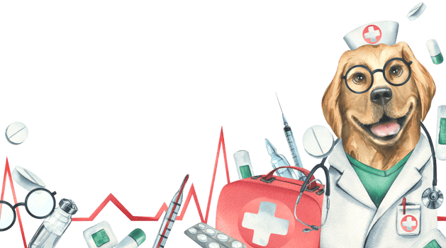 Dog doctor in a dressing gown, glasses, with a stethoscope, a suitcase and medical instruments, pills, injections. Watercolor illustration, hand drawn. Template png