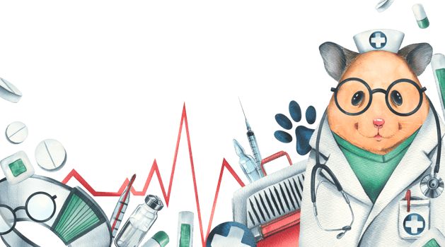 Veterinary set with doctor hamster, pet carrier, medicines. Watercolor illustration, hand drawn. Template, for the design of clinics, hospitals, pharmacies, medicines. png