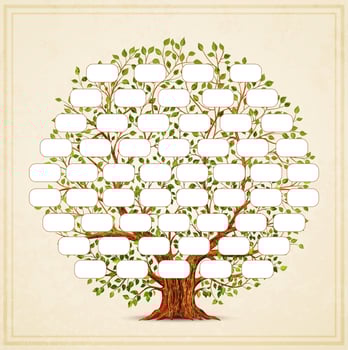 Family Tree template. Genealogy, pedigree. Vintage style for retro design. Vector illustration