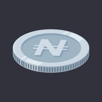 Naira Silver Coin Nigerian Money Tin Vector