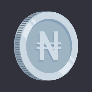 Naira Nigerian Money Silver Coin Tin Vector