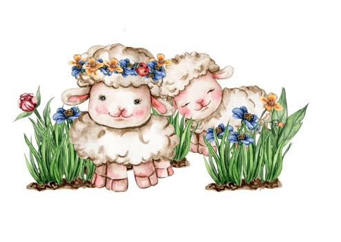 White fluffy sheep sitting in the grass with flowers and butterflies next to wooden fence. Watercolor hand drawn illustration of farm baby animal . Perfect for greetings card, poster, fabric pattern. png