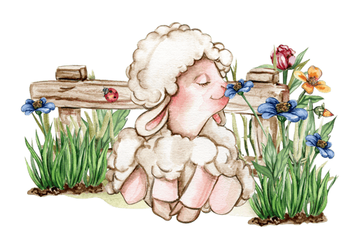White fluffy sheep sitting in the grass with flowers and butterflies next to wooden fence. Watercolor hand drawn illustration of farm baby animal . Perfect for greetings card, poster, fabric pattern. png