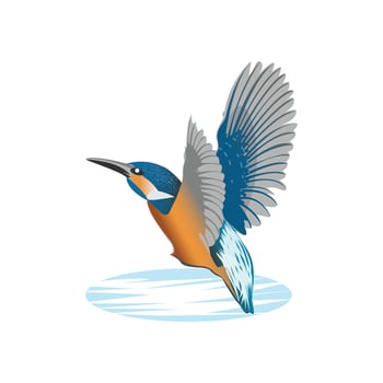 Colorful Kingfisher bird illustration vector