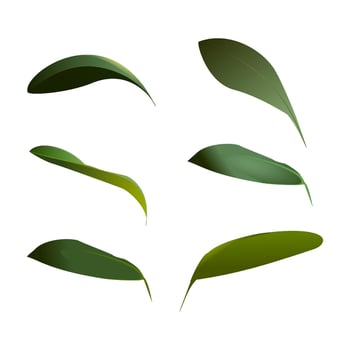 Set of watercolor green leaves elements. Collection botanical vector isolated on white background suitable for Wedding Invitation, save the date, thank you, or greeting card.