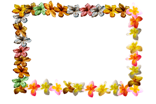 icon decoration flowers form shape pattern png