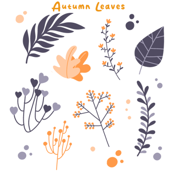 Hand drawn autumn collection with seasonal plants and leaves png