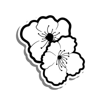 Doodle black line cherry blossom, sakura flower on white background. Vector illustration for decorate logo, wedding, greeting cards and any design.