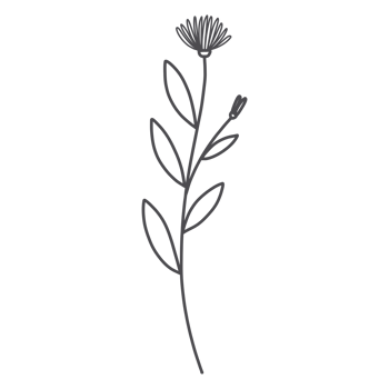 Line Art Floral png