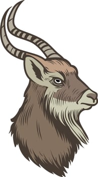 Japanese serow or japanese goat antelope head vector illustration image