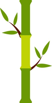 Flat Bamboo Plant Icon Or Symbol. vector