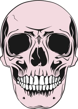 Skull design and skull vector art