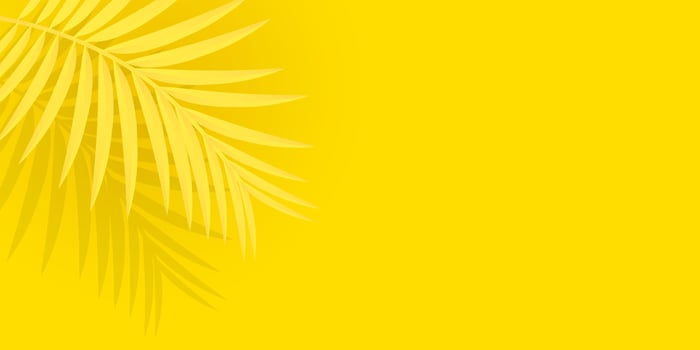 Palm tree background total yellow. Horizontal orientation, copy space. Vector design.
