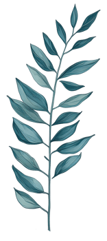 Watercolor green leave. png