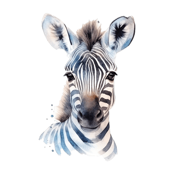 Watercolor little zebra isolated on transparent background. png