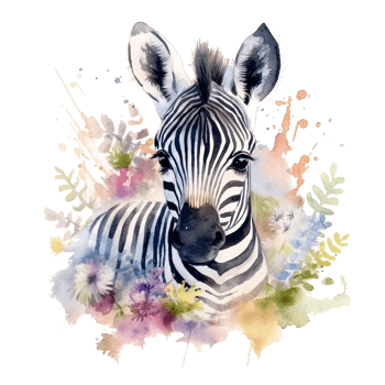 Watercolor little zebra isolated on transparent background. png