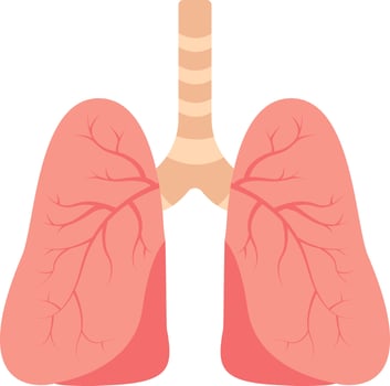 Red Anatomy Liver Icon In Flat Style. vector
