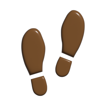 footprint 3d icon png