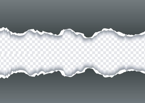 Creative horizontal torn paper edge on transparent background vector