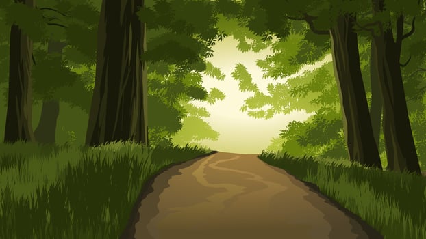 Vector landscape illustration of forest with empty road