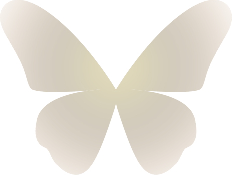 y2k gradient butterfly png
